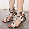 Women's Shoes Leatherette Wedge HeelOpen Toe Sandals Dress Black / White